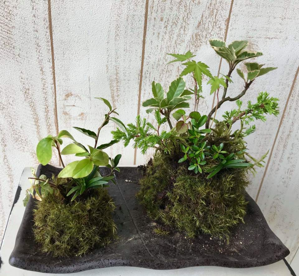 寄せ植えギャザリング教室