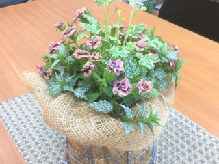 寄せ植えギャザリング教室（初級）